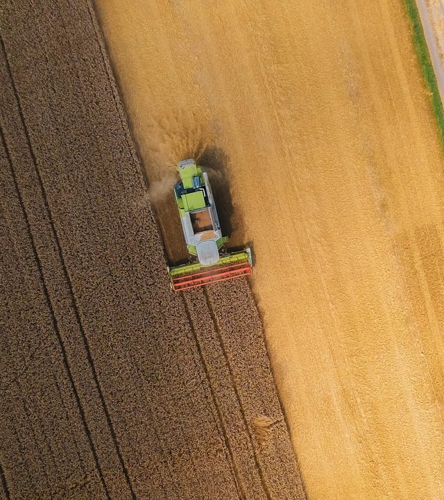 combine harvester, harvest, farm, combine, barley, crop, field, agriculture, rural, landscape, agricultural machinery, combine harvester, combine harvester, combine harvester, agricultural machinery, agricultural machinery, agricultural machinery, agricultural machinery, agricultural machinery